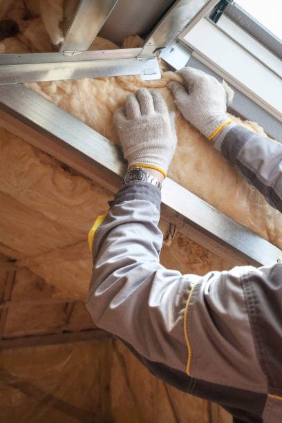 Best Geographic-Specific Insulation Services in Veedersburg, IN