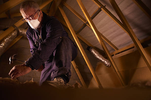 Best Eco-Friendly Insulation in Veedersburg, IN